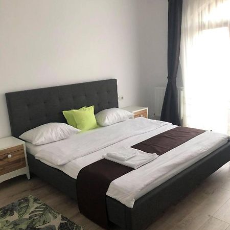 Holiday Luxury Villa With Private Garden Şelimbăr Dış mekan fotoğraf