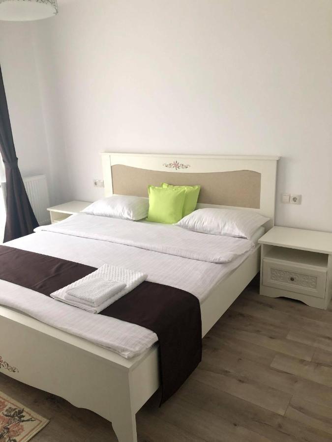 Holiday Luxury Villa With Private Garden Şelimbăr Dış mekan fotoğraf