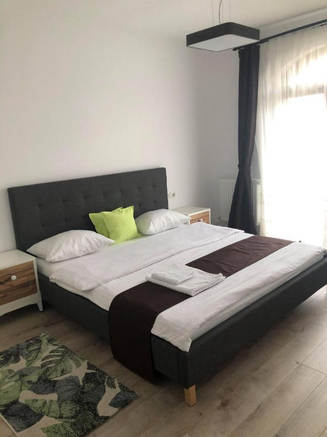 Holiday Luxury Villa With Private Garden Şelimbăr Dış mekan fotoğraf