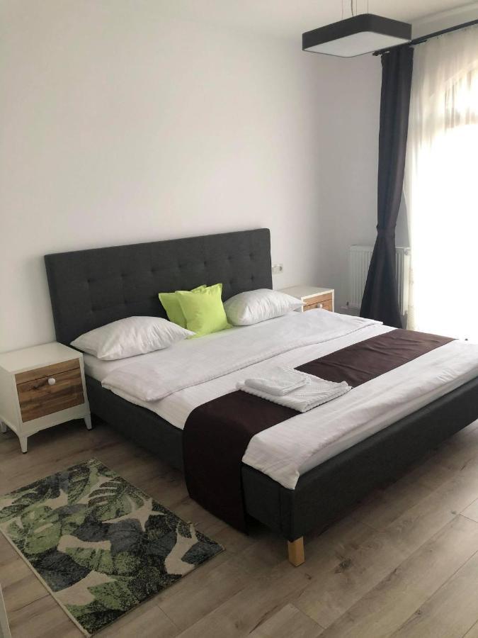 Holiday Luxury Villa With Private Garden Şelimbăr Dış mekan fotoğraf