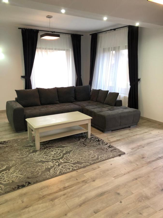 Holiday Luxury Villa With Private Garden Şelimbăr Dış mekan fotoğraf